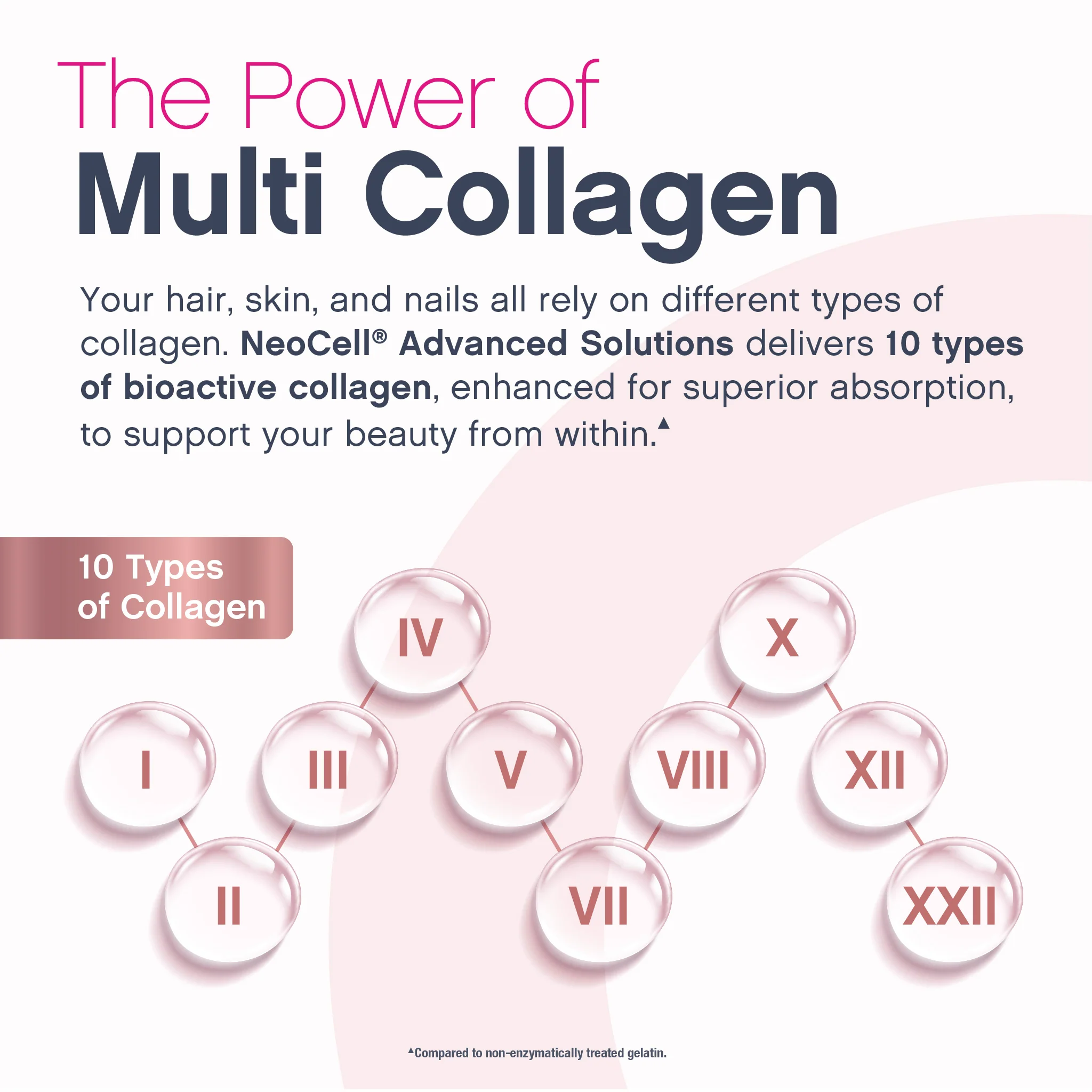 Multi Collagen Bio-Peptides Unflavored, 20 Stick Packs - Image 3